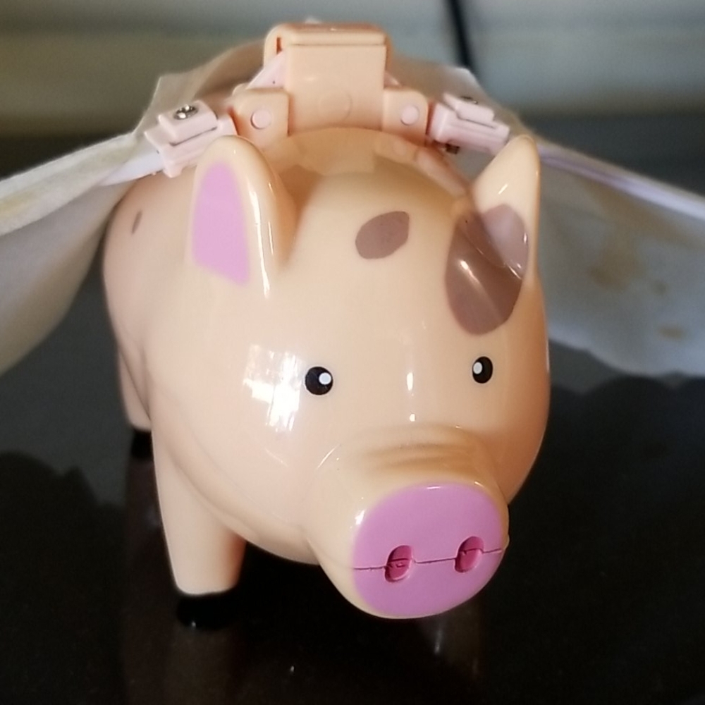 Pigs can fly